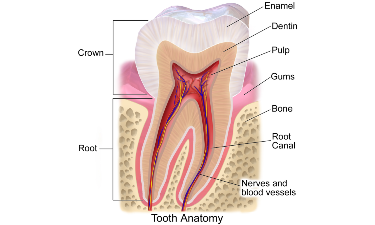 Why Do Teeth Hurt After Whitening?